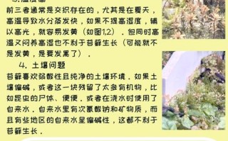 盆栽土壤酸度怎么快速增加？