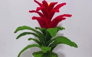 钩织鸿运当头盆栽，手工怎么做出神韵？