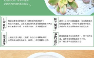 多肉图片名称价格哪里查？哪种性价比高？