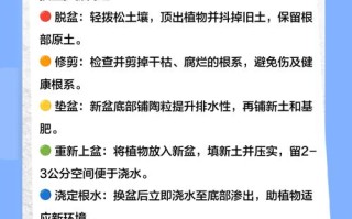 养盆栽必须给土壤消毒吗？