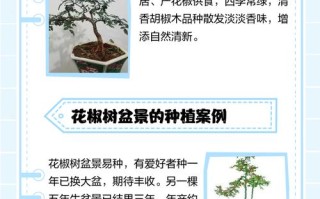 盆栽花椒盆景图片有哪些造型？