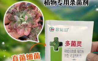 多肉多菌灵用多了会怎样