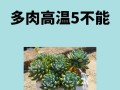 多肉低于多少度会冻死？
