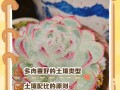多肉适合什么土壤？