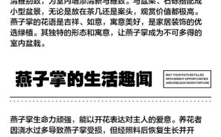 燕子掌怎么养？关键养护技巧有哪些？