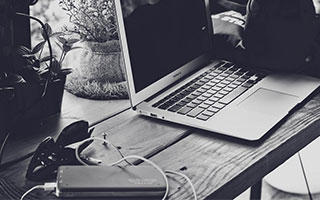 啤酒浇花，哪些花卉适合？