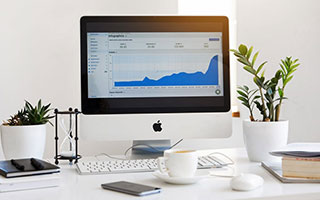 多肉怎么养才能又肥又美？