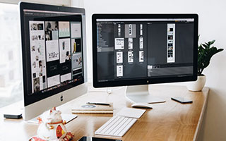 广东万年青水培改土培，方法步骤是什么？