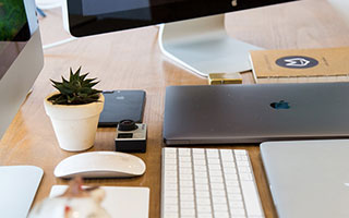 多肉怎么养才能又肥又美？