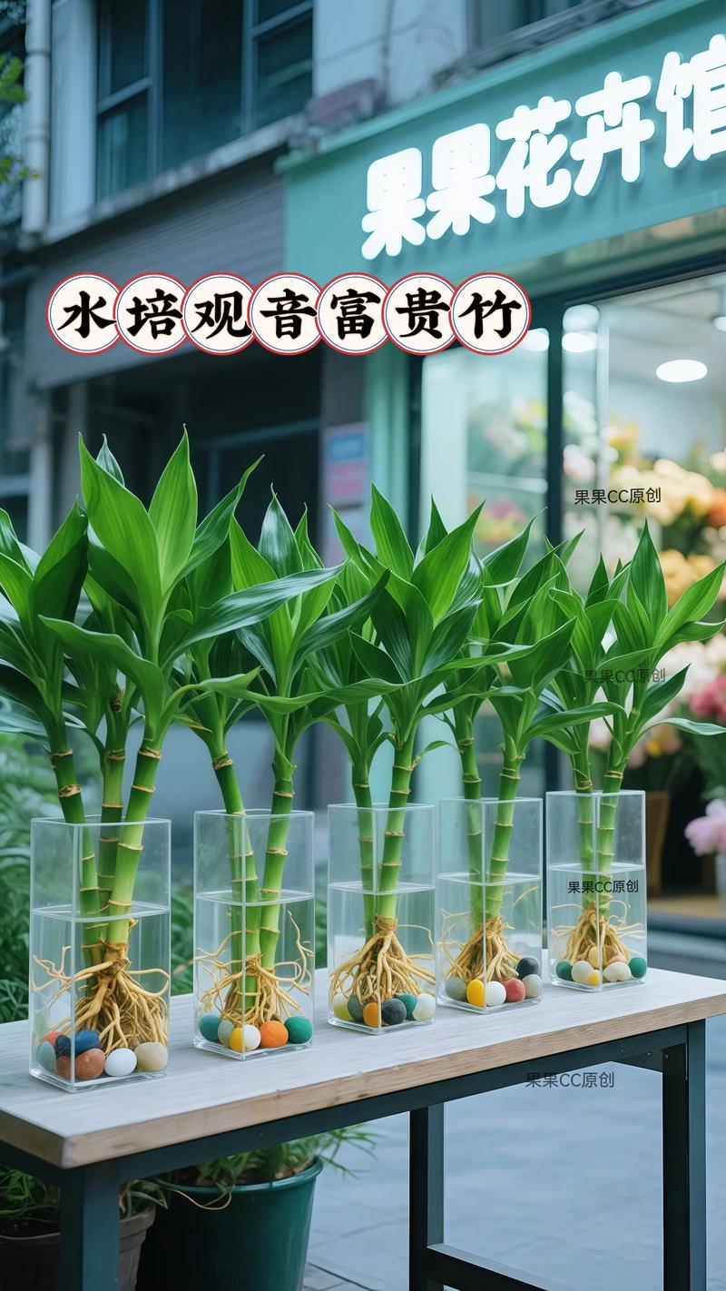 水培富贵竹加维生素B12有何用?-第3张图片-吾爱花网 水培富贵竹加维生素B12有何用?-第3张图片-吾爱花网