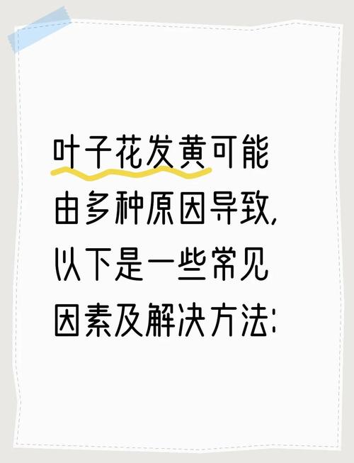 盆栽叶子发黄,缺啥?咋救?-第1张图片-吾爱花网 盆栽叶子发黄,缺啥?咋救?-第1张图片-吾爱花网