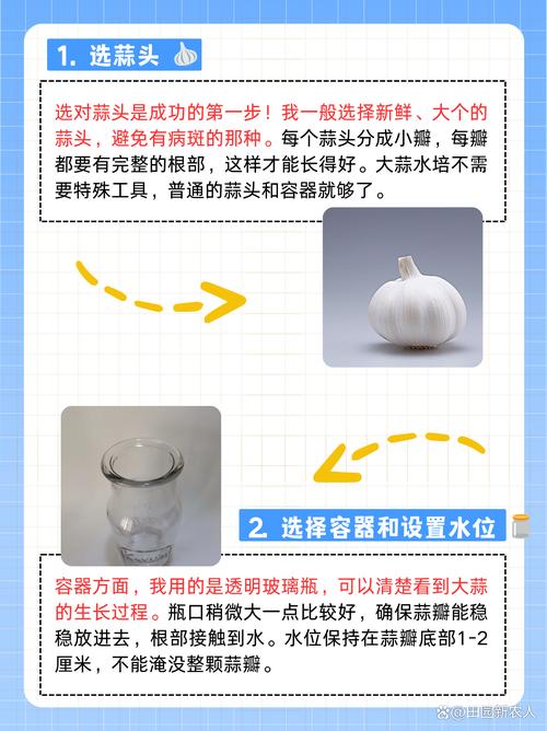 盆栽大蒜有何特殊寓意?-第2张图片-吾爱花网 盆栽大蒜有何特殊寓意?-第2张图片-吾爱花网