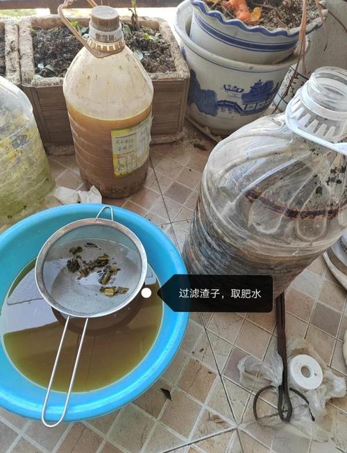 自己怎么做水培植物肥?简单配方有哪些?-第1张图片-吾爱花网 自己怎么做水培植物肥?简单配方有哪些?-第1张图片-吾爱花网