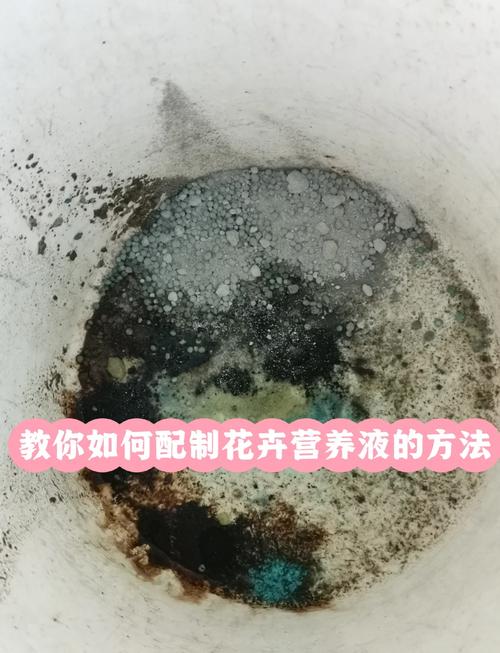 水培植物营养液怎么配才有效?-第2张图片-吾爱花网 水培植物营养液怎么配才有效?-第2张图片-吾爱花网