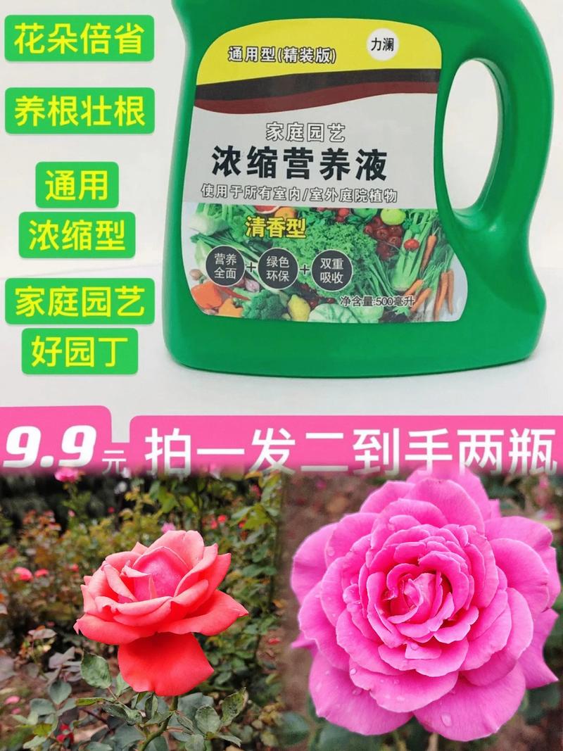 水培花必用营养液吗？-第2张图片-吾爱花网