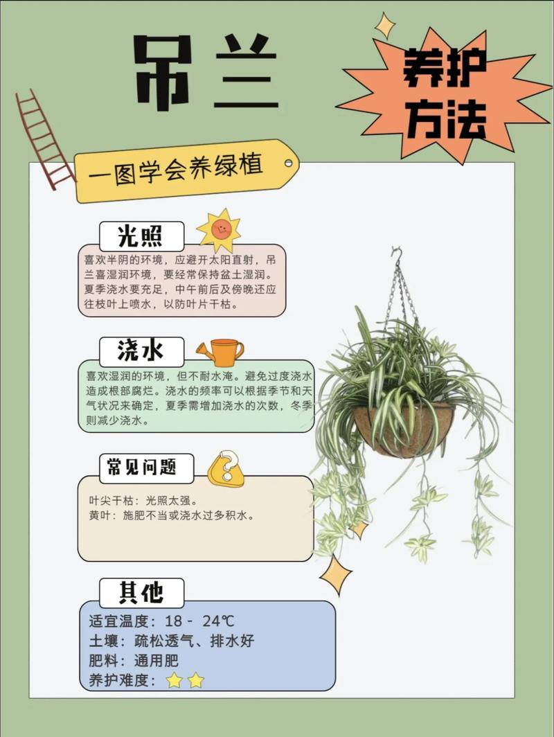 盆栽种植有哪些关键注意事项？-第2张图片-吾爱花网