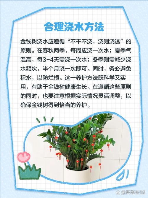 金钱树盆栽养护,关键有哪些技巧?-第1张图片-吾爱花网 金钱树盆栽养护,关键有哪些技巧?-第1张图片-吾爱花网