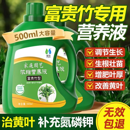 富贵竹水培营养液是啥？-第3张图片-吾爱花网