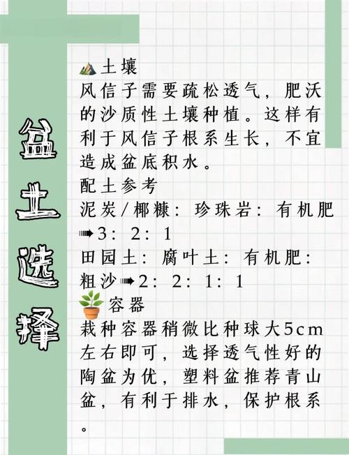 风信子水培转土培怎么活?-第2张图片-吾爱花网 风信子水培转土培怎么活?-第2张图片-吾爱花网