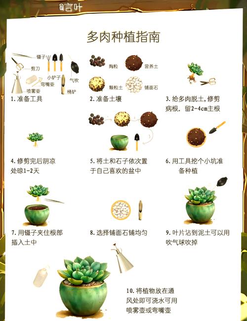 多肉植物怎么养?图片大全教你轻松入门!-第1张图片-吾爱花网 多肉植物怎么养?图片大全教你轻松入门!-第1张图片-吾爱花网