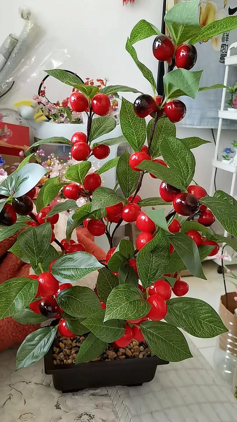 盆栽樱桃冬天怎么保暖防冻?-第1张图片-吾爱花网 盆栽樱桃冬天怎么保暖防冻?-第1张图片-吾爱花网