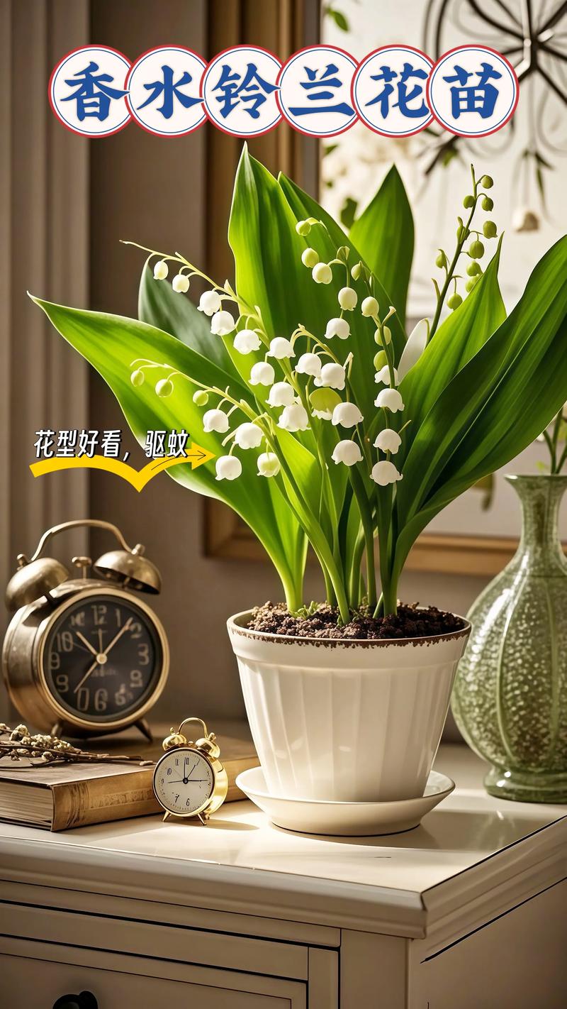 室内盆栽美图多,养护秘诀在哪找?-第1张图片-吾爱花网 室内盆栽美图多,养护秘诀在哪找?-第1张图片-吾爱花网