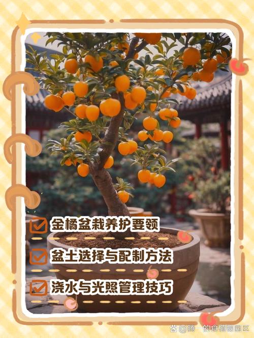 北方盆栽桔子冬天怎么养?-第2张图片-吾爱花网 北方盆栽桔子冬天怎么养?-第2张图片-吾爱花网