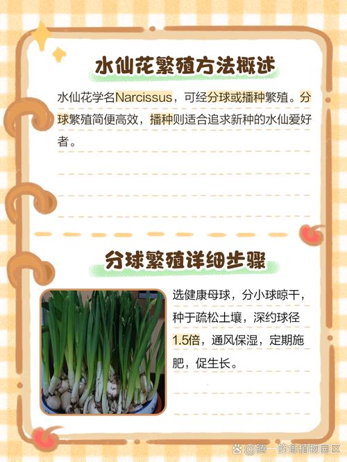 盆栽小仙女花卉怎样繁殖?-第1张图片-吾爱花网 盆栽小仙女花卉怎样繁殖?-第1张图片-吾爱花网