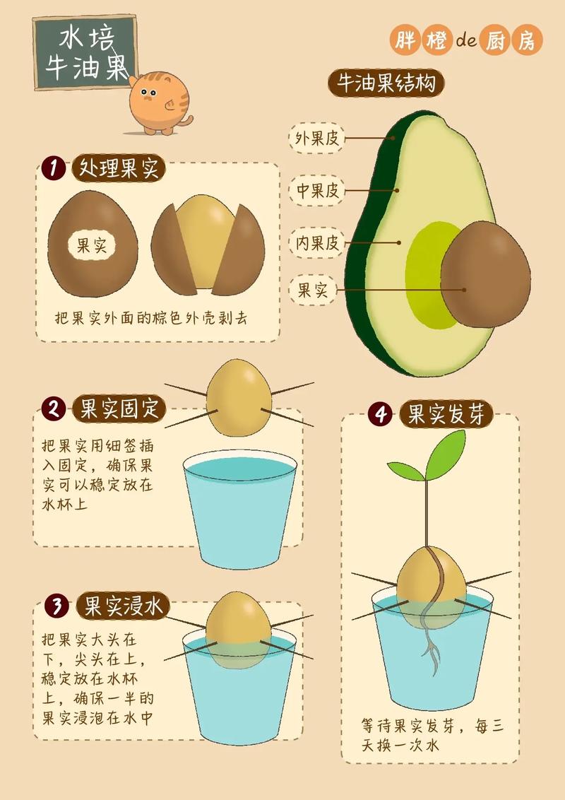盆栽牛油果最佳种植月份是几月？-第1张图片-吾爱花网