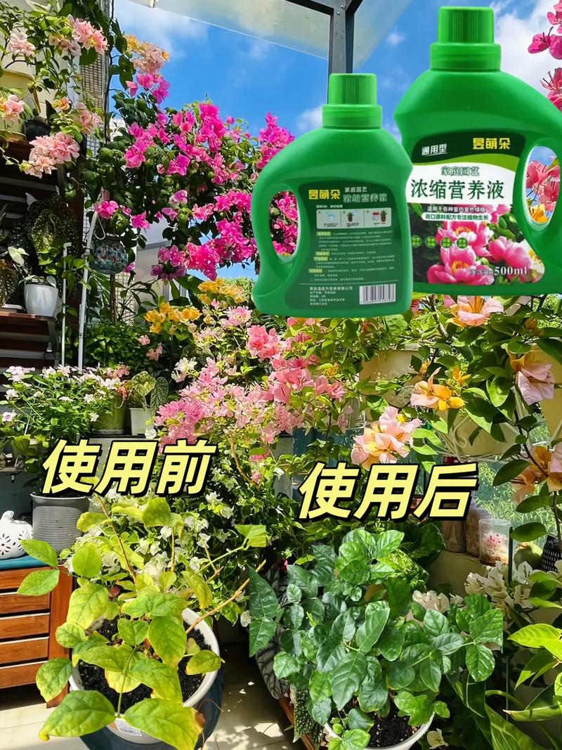 水培营养液为何有颜色？-第3张图片-吾爱花网