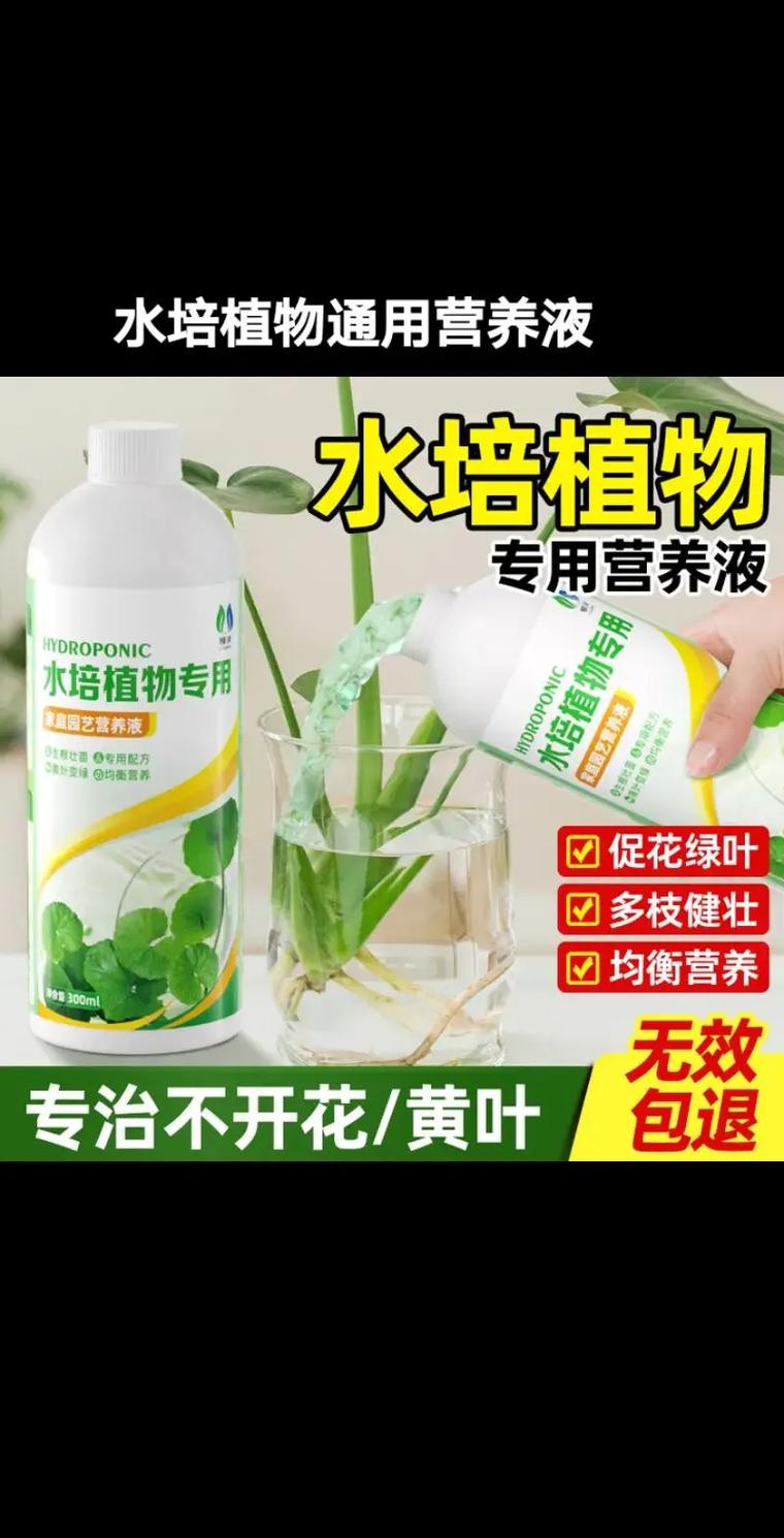 水培营养液能直接拿来煮菜吗?-第3张图片-吾爱花网 水培营养液能直接拿来煮菜吗?-第3张图片-吾爱花网