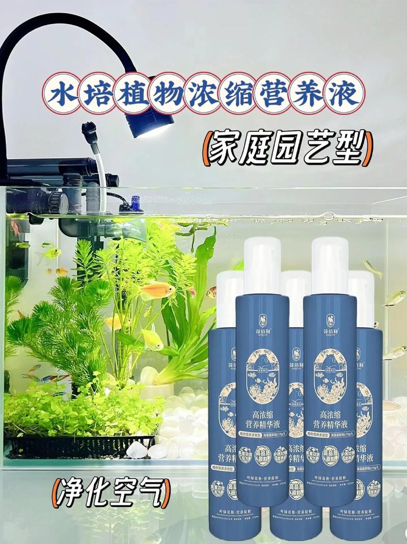 水培营养液能直接拿来煮菜吗?-第2张图片-吾爱花网 水培营养液能直接拿来煮菜吗?-第2张图片-吾爱花网