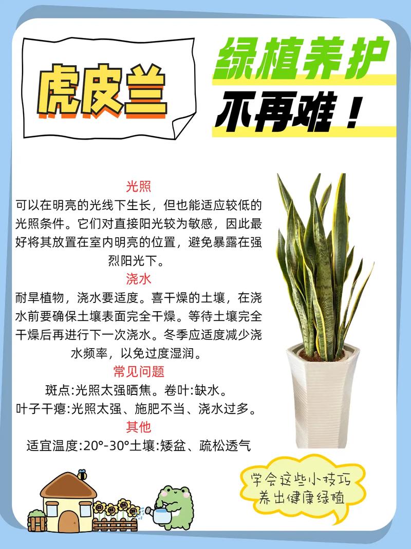 虎尾兰能水培吗？-第2张图片-吾爱花网