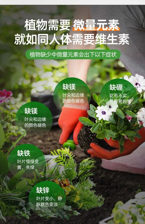 多肉施肥用什么肥好?-第3张图片-吾爱花网 多肉施肥用什么肥好?-第3张图片-吾爱花网