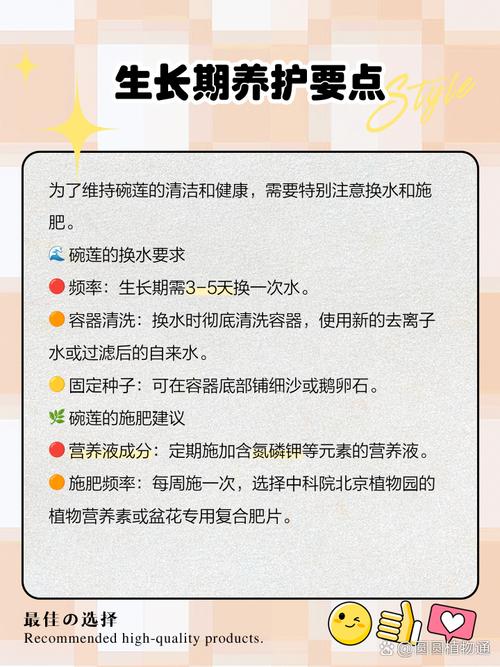 水培荷花VS碗莲，到底哪个更好养？-第3张图片-吾爱花网