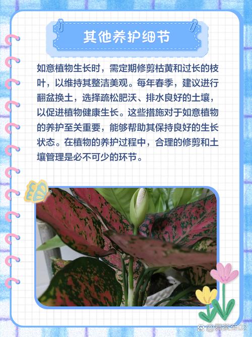 如意绿植水培要修根吗？-第2张图片-吾爱花网