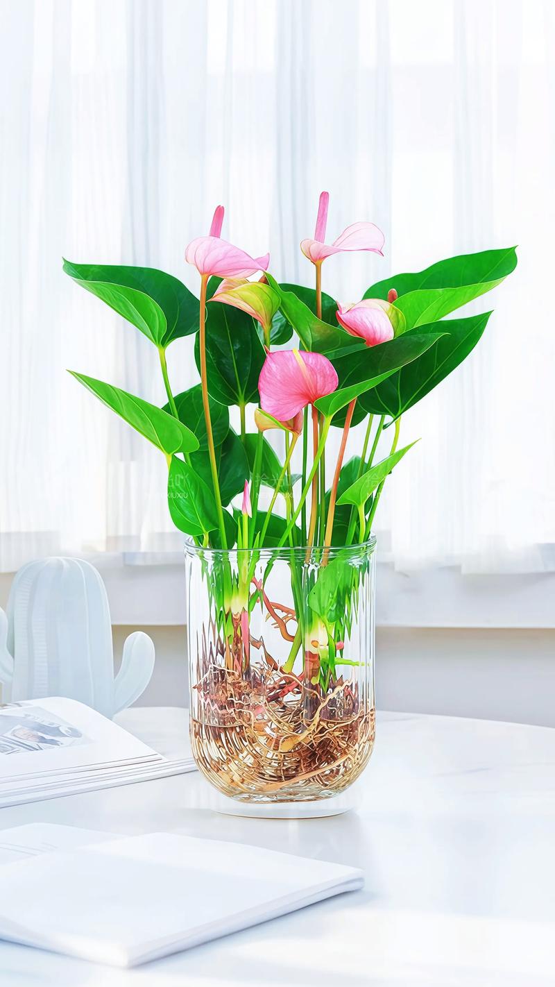 家里哪些绿植盆栽好养又值得养?-第2张图片-吾爱花网 家里哪些绿植盆栽好养又值得养?-第2张图片-吾爱花网