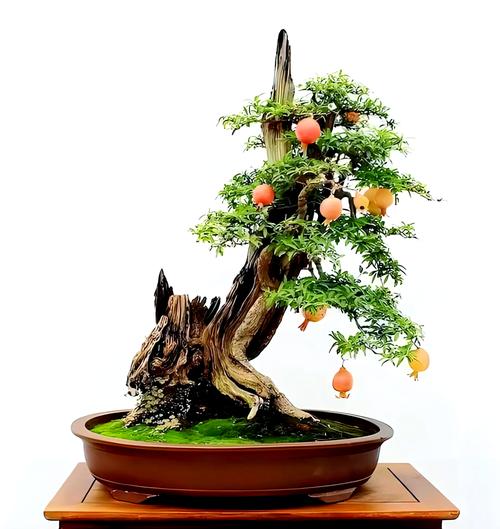 石榴盆栽花谢后怎么养护?-第2张图片-吾爱花网 石榴盆栽花谢后怎么养护?-第2张图片-吾爱花网