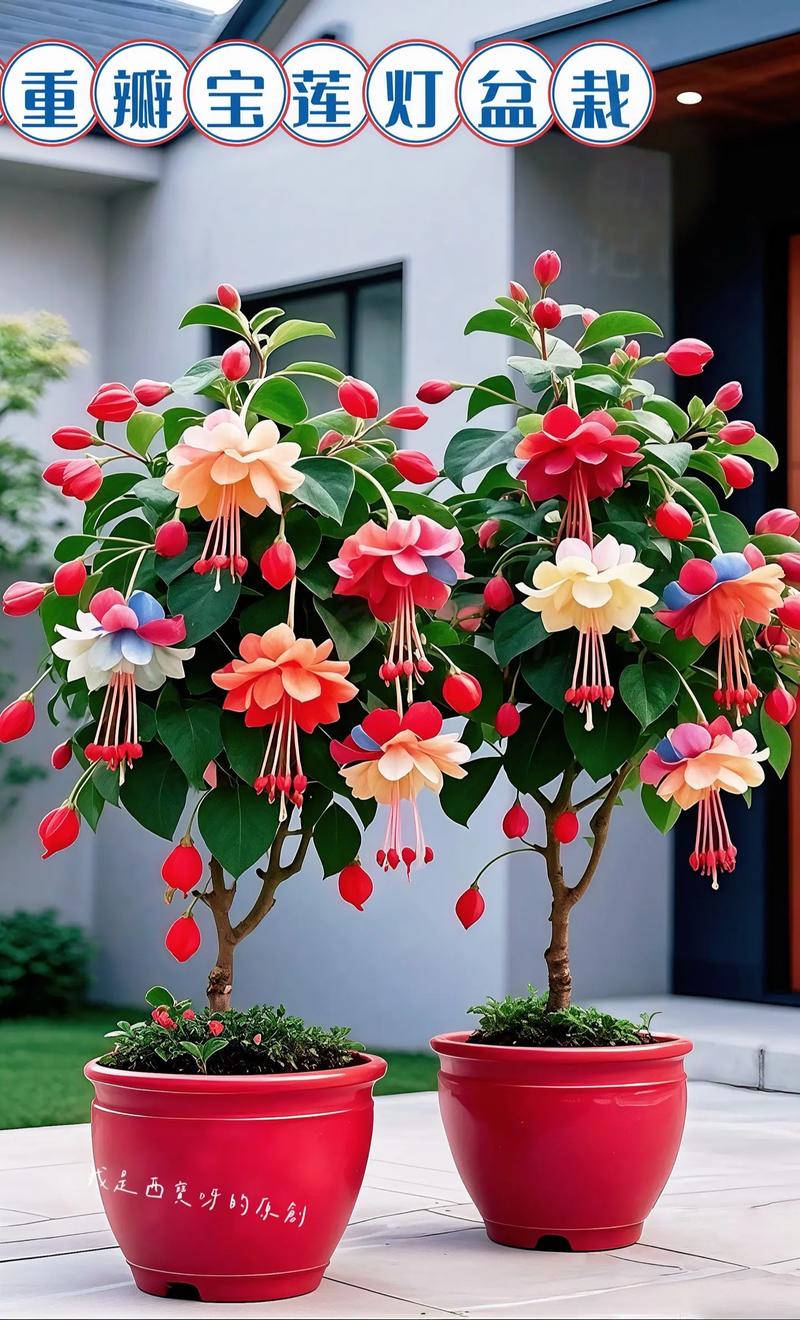 哪些盆栽花好养又适合新手?-第2张图片-吾爱花网 哪些盆栽花好养又适合新手?-第2张图片-吾爱花网