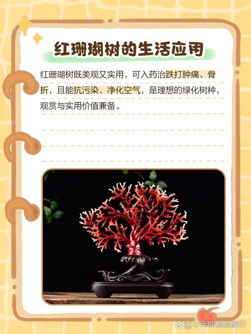 红珊瑚多肉怎么养才爆盆？-第2张图片-吾爱花网