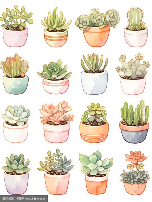 多肉花盆绘画图,怎么画才好看?-第2张图片-吾爱花网 多肉花盆绘画图,怎么画才好看?-第2张图片-吾爱花网