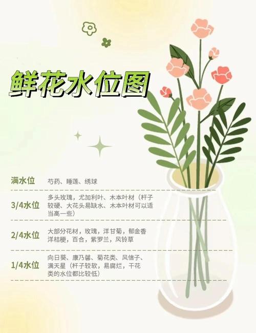 水培定植杯距水面多远合适？-第3张图片-吾爱花网