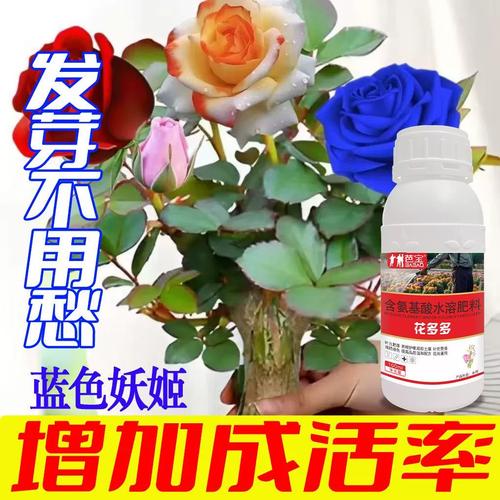 多肉开花施肥用啥肥最合适?-第1张图片-吾爱花网 多肉开花施肥用啥肥最合适?-第1张图片-吾爱花网