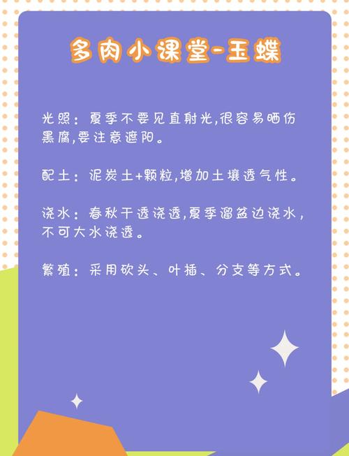 玉蝶多肉为何频繁黄叶?-第1张图片-吾爱花网 玉蝶多肉为何频繁黄叶?-第1张图片-吾爱花网