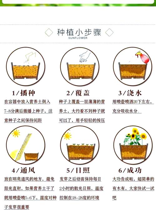 风信子水培多久换一次水？-第2张图片-吾爱花网