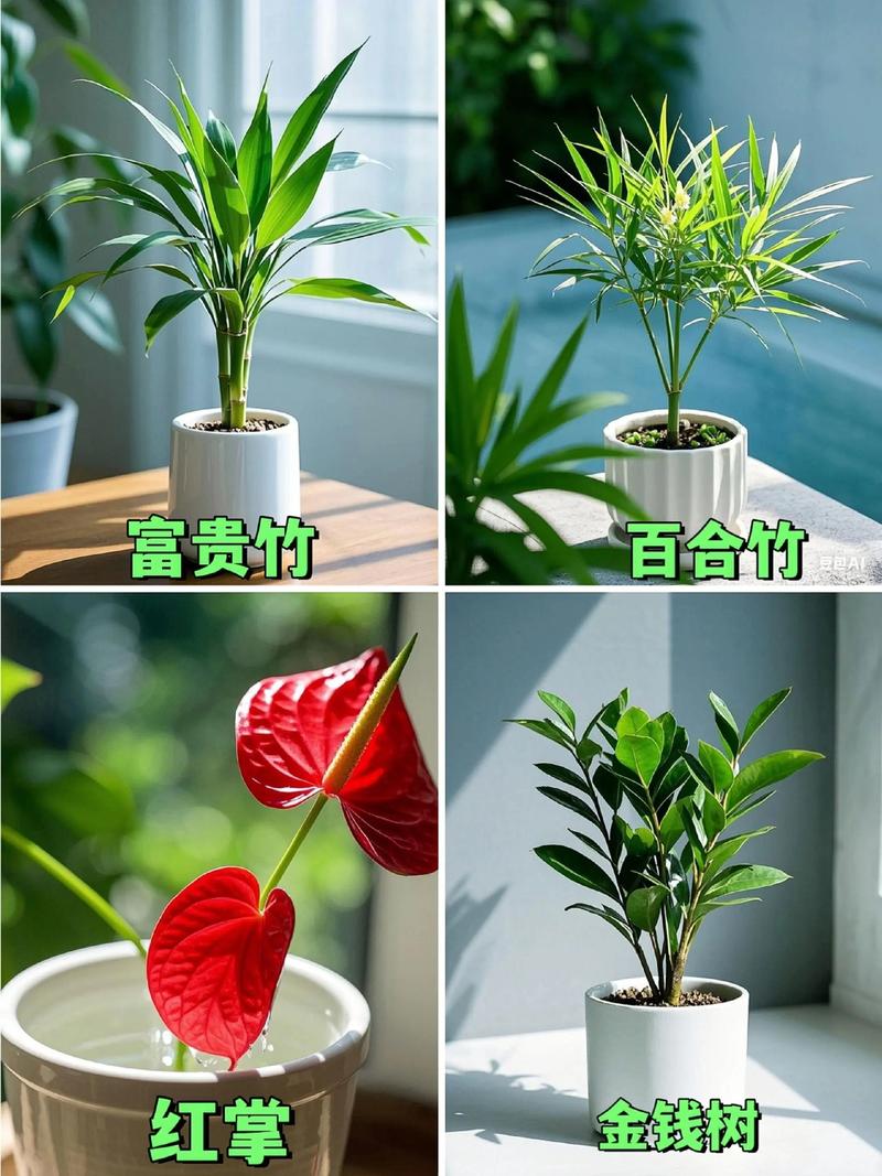 哪些盆栽花卉适合家庭栽培？-第3张图片-吾爱花网