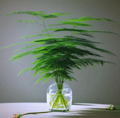 客厅水培植物选哪种好?-第2张图片-吾爱花网 客厅水培植物选哪种好?-第2张图片-吾爱花网