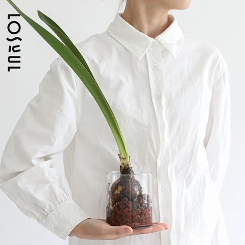 朱顶红种球剪后水培,多久能生根?-第2张图片-吾爱花网 朱顶红种球剪后水培,多久能生根?-第2张图片-吾爱花网