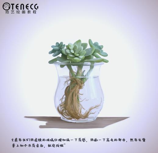 多肉花瓣能种出小肉肉吗?-第3张图片-吾爱花网 多肉花瓣能种出小肉肉吗?-第3张图片-吾爱花网