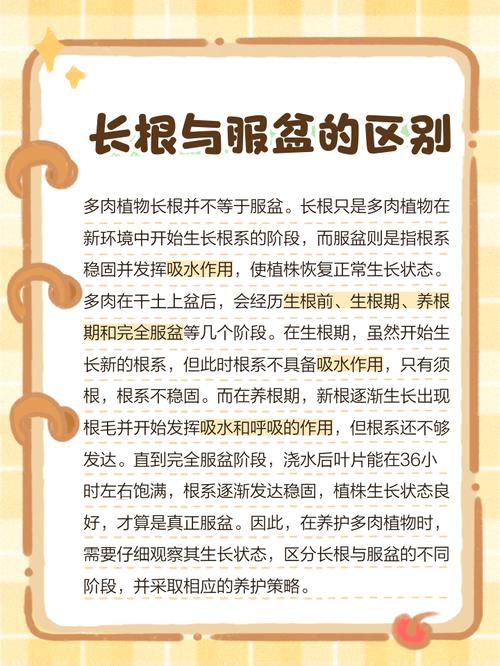 多肉服盆没?怎么判断?-第1张图片-吾爱花网 多肉服盆没?怎么判断?-第1张图片-吾爱花网